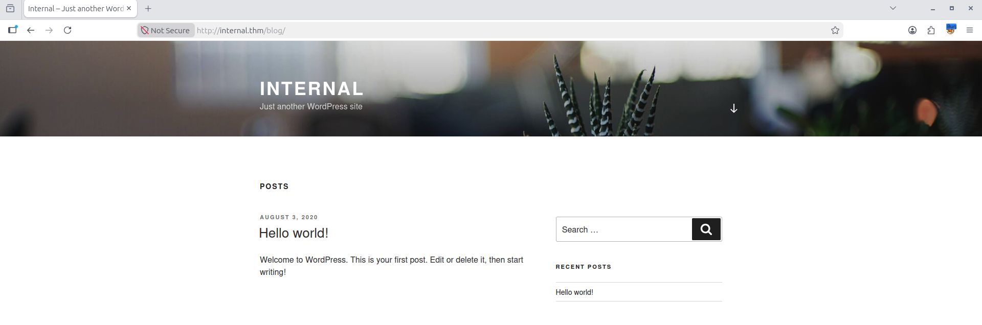 WordPress blog discovered on internal.thm