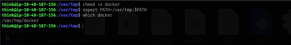 Docker Custom Executable