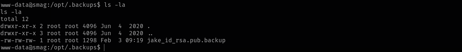 Backups Directory