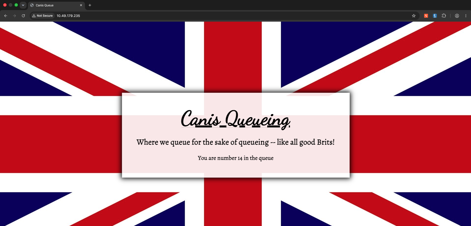 Canis Queueing landing page