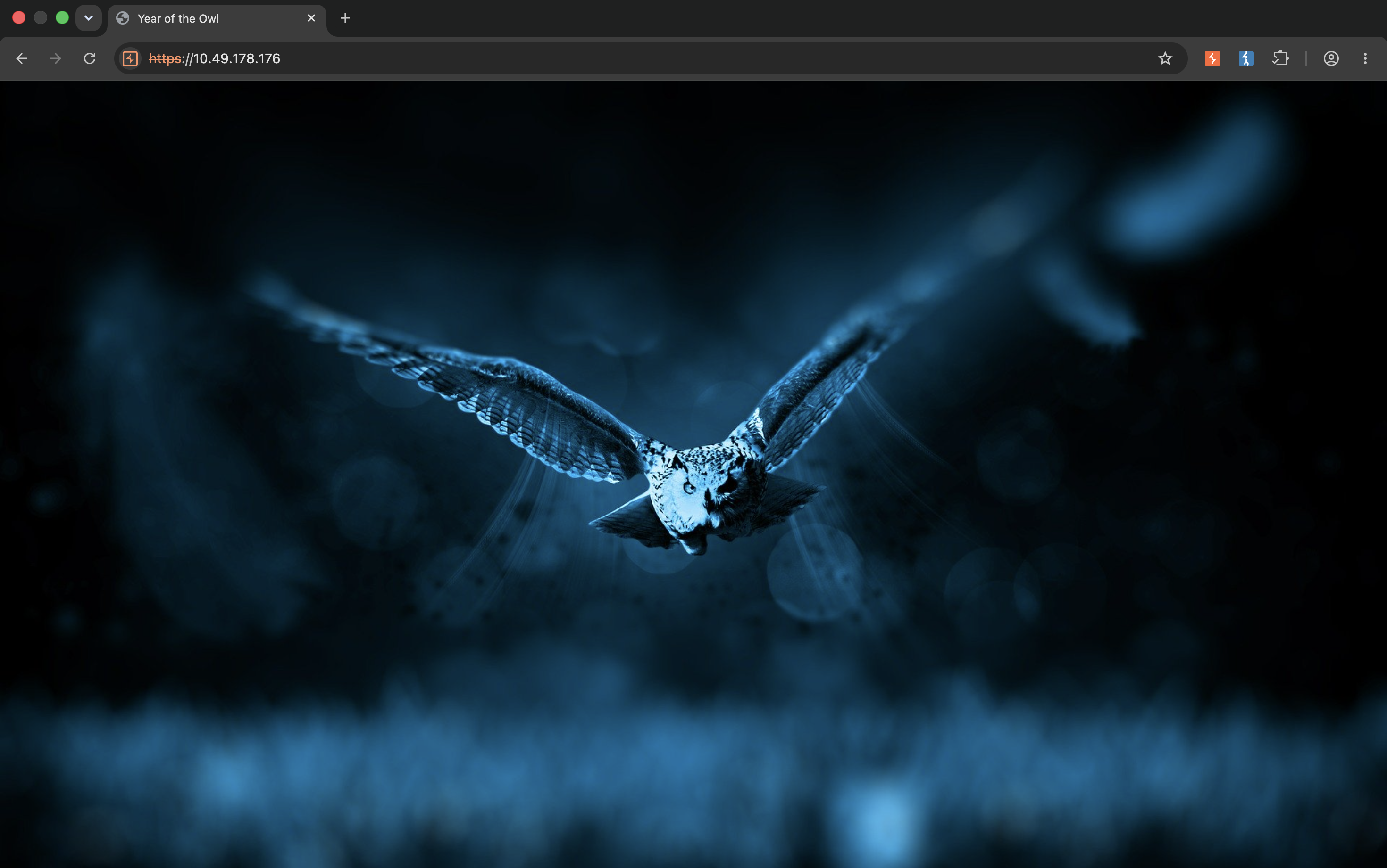 The owl landing page of the web app